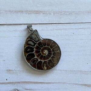 Natural Ammonite Fossil Pendant